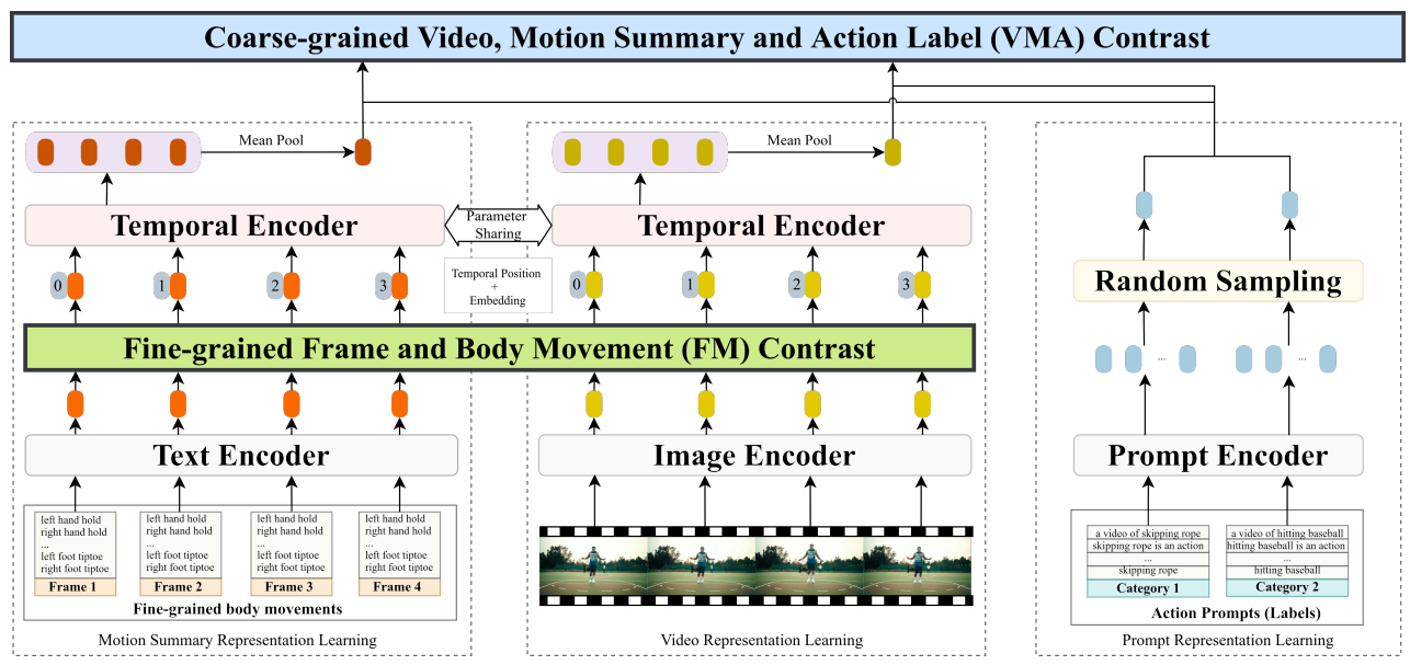 Framework figure for Enhancing Human Action Recognition with Fine-Grained Body Movement Attention