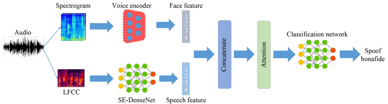 Framework figure for Physiological-Physical Feature Fusion for Automatic Voice Spoofing Detection